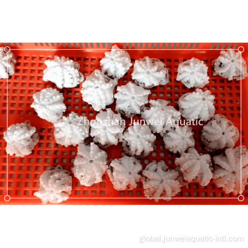China fresh frozen octopus for sale Factory